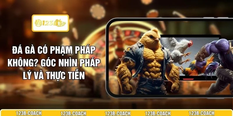 Đá Gà Có Phạm Pháp Không? Góc Nhìn Pháp Lý Và Thực Tiễn