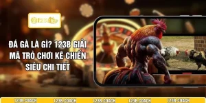 Đá Gà Là Gì? 123B Giải Mã Trò Chơi Kê Chiến Siêu Chi Tiết